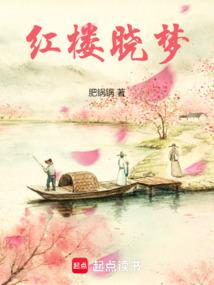 Dream of the Red Chamber poster
